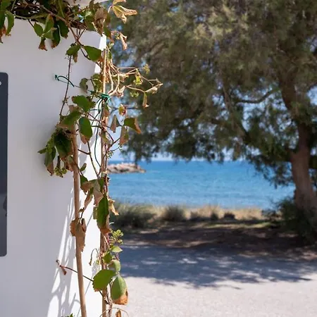 Nerea Seaside Villa